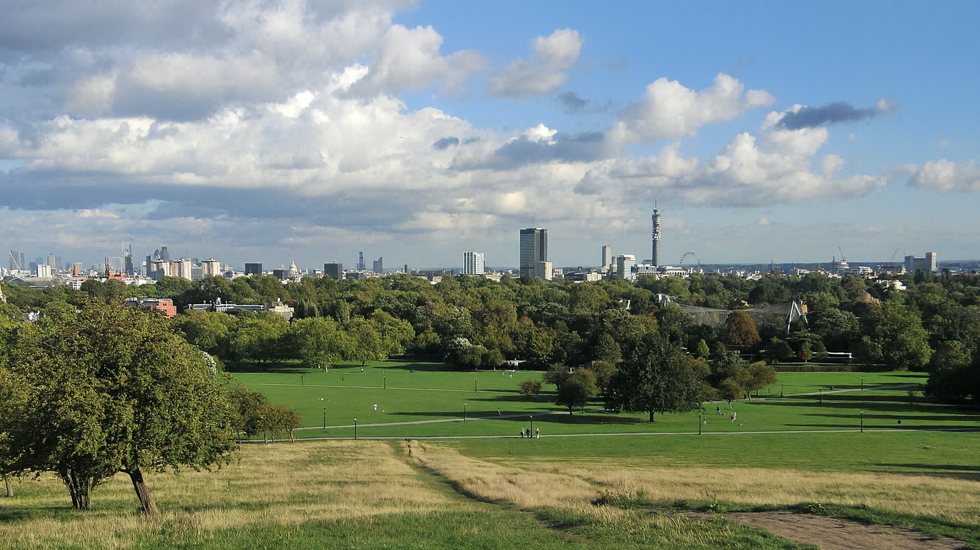 Parkland habitat example
